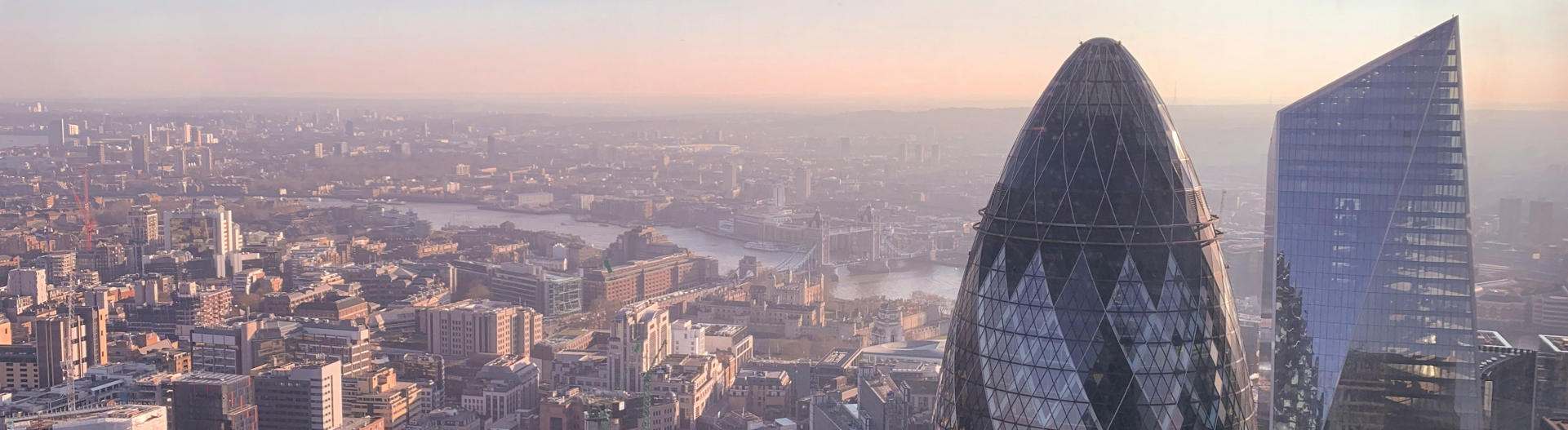 Resist Temptation to Rapidly Roll Out AI – Executives Must Focus on Talent and Training First